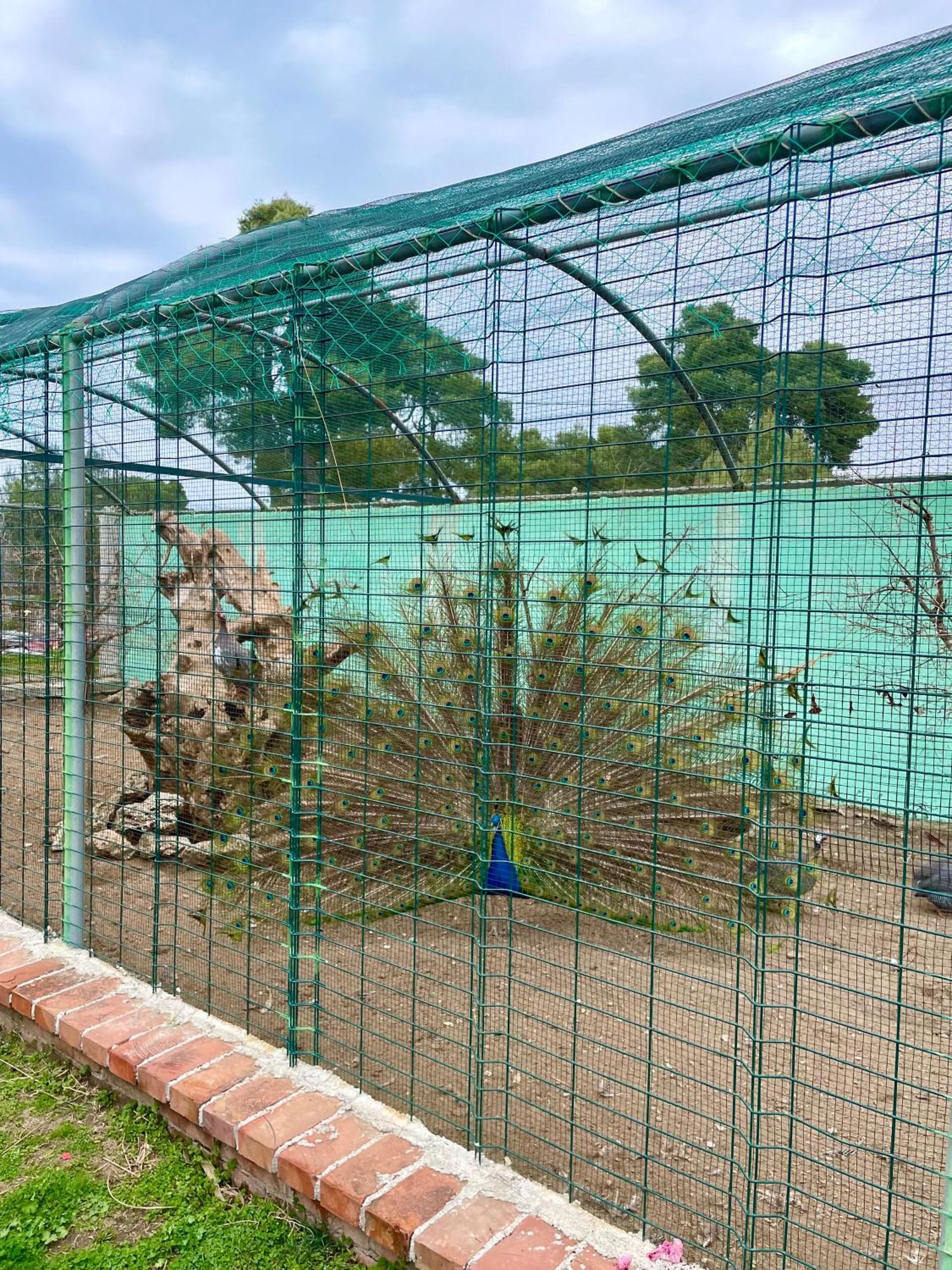 Hotel Agroturizem Eldi Fier Zewnętrze zdjęcie